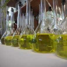 Картинка преимущества